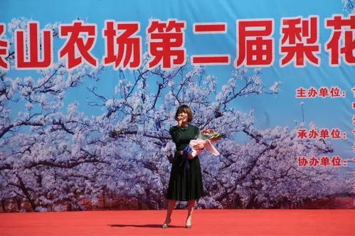梨花开的梦幻世界：刘村梨园梨花节