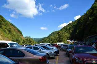 救命！这破车居然比劳斯莱斯还香