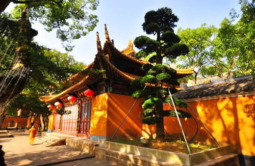 城隍庙：祈福与祈愿之地