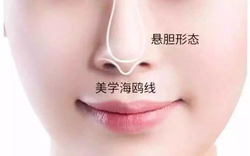 先说说这长相背后的玄机