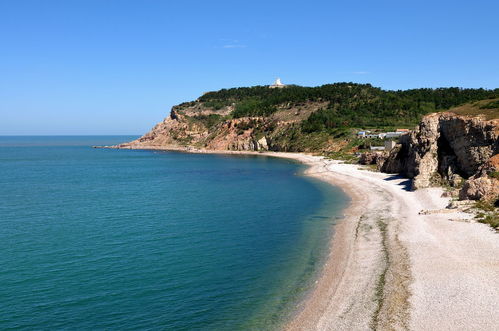 2. 岛屿上的迷雾