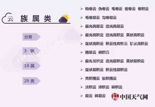 哪种动物能预知天气变化，它们是如何预测的？