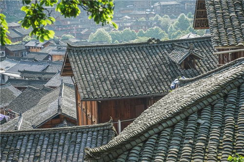 1.2 掏耳师：默默守护健康的行者