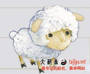 2026年出生的羊宝宝和2025年新款女宝宝，有没有好的名字推荐呢？