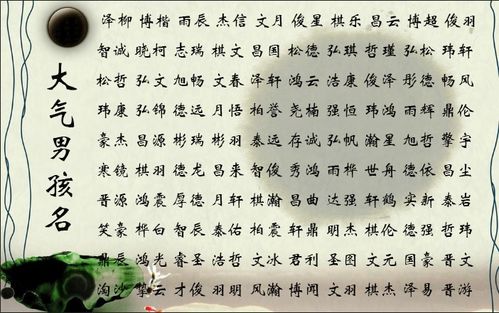 韦姓来源及起名提议