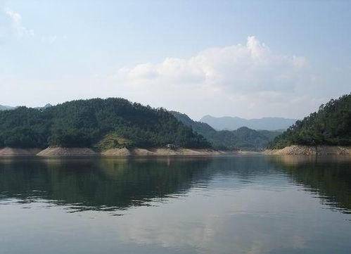 交通篇：包车是冤大头，公交是时间刺客