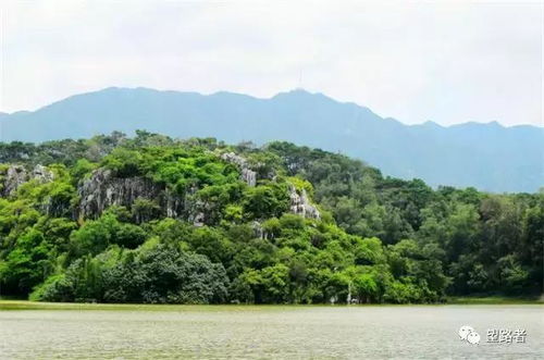 交通运输指南