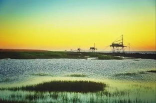 南汇嘴观海公园：看海？不如看大爷钓鱼