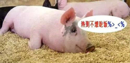 二、噪音测试：到底哪些样子才算良好听？