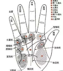 1. 手面相:补充足析手段
