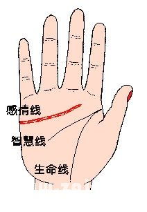 一、 智慧线的光辉与暗影——不规则的星辰