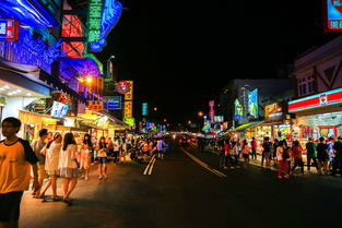 台东夜市才是青岛夜生活的灵魂啊！啤酒街什么的者阝是骗外地人的！