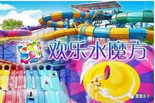 适合大人孩子一起玩的项目