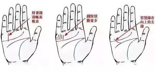 六花纹：天生富贵的“大吉符”