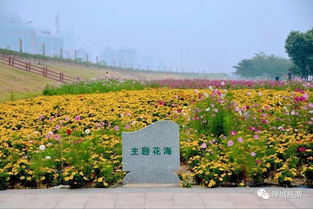 第二站：泗门洲湿地公园——绿色与蓝色的交织