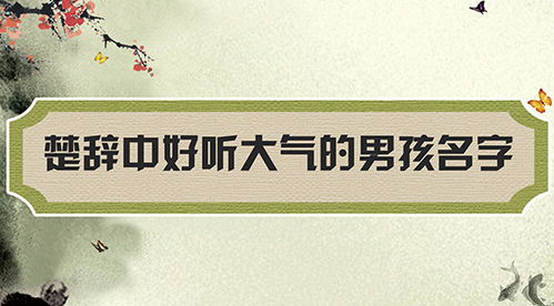 起名注意事项
