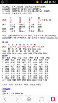 如何查询八字喜忌用神，有哪些免费方法？
