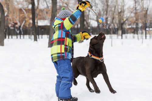 属狗男与属牛女婚配是否相克，谁会对谁产生不利影响？