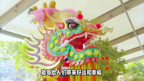 2024年对应的生肖和属相具体是什么？