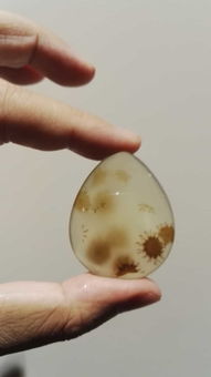 我跟你讲海洋玉髓这事真实的让我心酸到睡不着觉