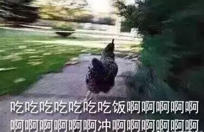白羊座—炎热血与冲动