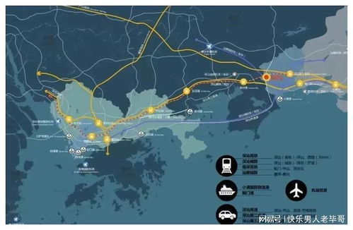 大湾区旅游：别再当韭菜了！这些野路子玩法连本地人都藏着掖着