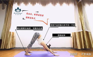 2. 哈巴狗瑜伽