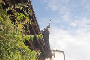 情感色彩：一次难忘的家庭旅行（或者是一次难忘的折腾）