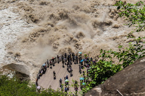 惊魂记：我在虎跳峡的72小时