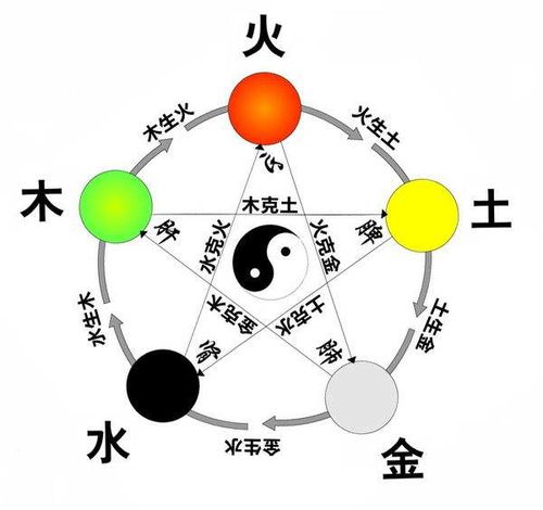 二、 名字的音律与发音
