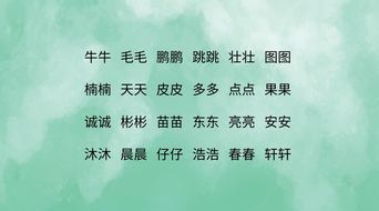 脑洞大开的组合