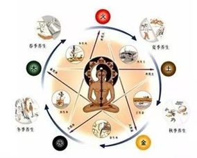 吃！疯狂地吃！把水吃进肚子里