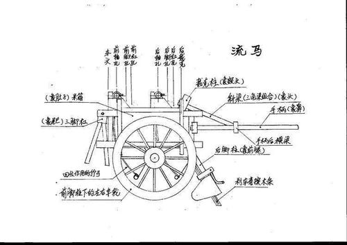 十万年生肖是什么？长生十万年是什么含义？