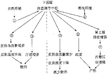佛教风水学,佛教风水学