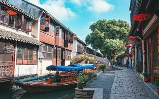 网友们怎么说？