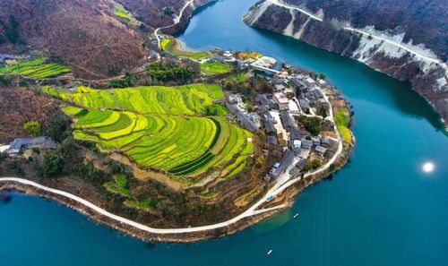 从陇南到全国：文旅产业的崭新风向标