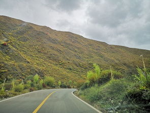 服务区奇遇记：火烧、 牛肉面和神秘小龙虾