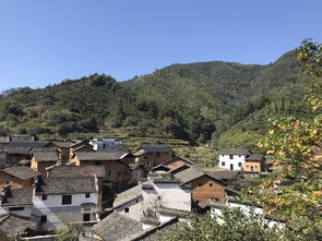 婺源景区套票，探寻古村秘境之旅