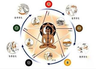 五行？我看是五仁月饼吧！
