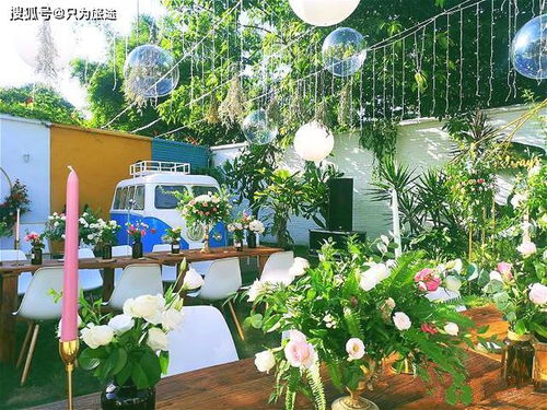 春日赏花行， 浪漫邂逅