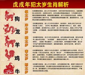 鼠鼠人的快乐星球：本周你是天选之子
