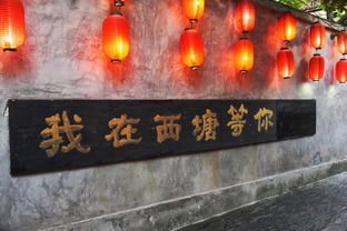 道家养生料理：舌尖上的健康，还是心灵的救赎？