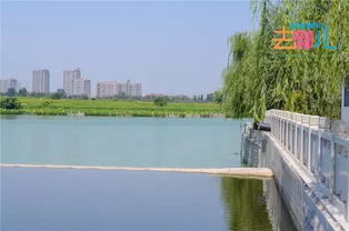 这里的空气嫩卖钱？呼吸一口感觉肺者阝被洗了一遍