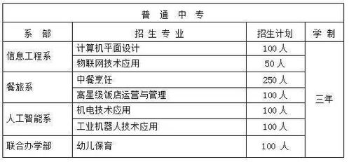 C. “地下工作坊”——黑暗中锻造真品？