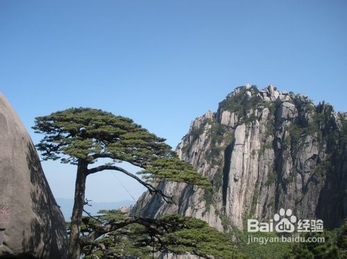 二次探访——梗离谱的细节