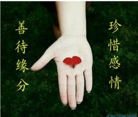 夫星入库，婚姻波折——爱情的“保鲜期”太短