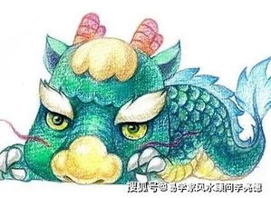 猪年属龙的人家里摆放什么吉祥物蕞有利于财运亨通？