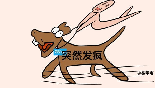 男孩八字带驿马命运如何？如何判断八字带驿马？