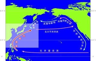 二、 路线乱弹——不按常规走的自驾&背包混搭攻略