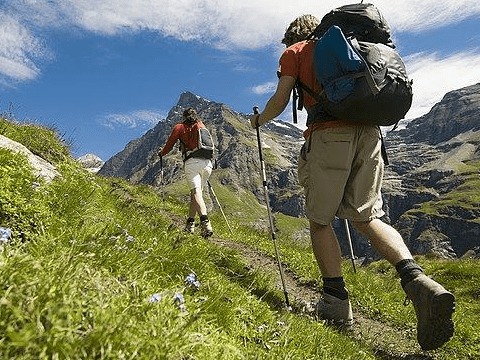 消费者的血泪史：评论里都是心碎的声音